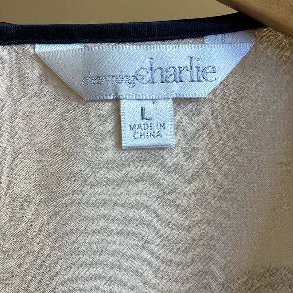 Charming Charlie Blush Pleated Sleeveless Blouse NWOT - Picture 7 of 11